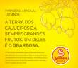 Anuncio GBarbosa Aniversario Aju 2012